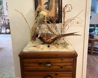Pheasant taxidermy, artwork, night stand