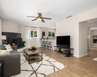 Coffee table, rug, tv stand, side tables, lamps, tv, greenery, curtains