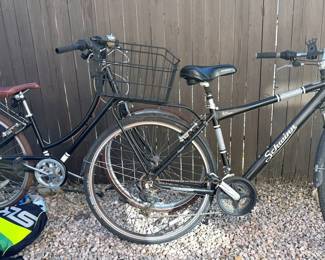 Baumon Critical Bicycle
Schwinn City Series Bicycle