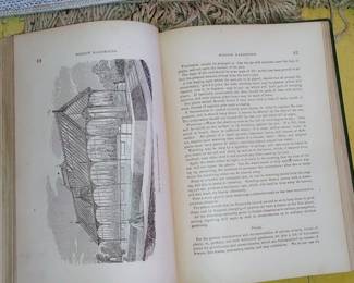 Beautiful illustrations and Victorian greenhouses