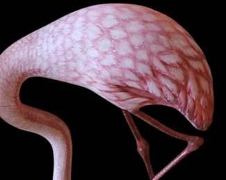 Very Rare Original Hai Feng Ma handmade life size Flamingo sculptures on Driftwood base