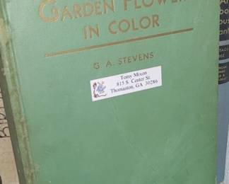 Garden flowers in color