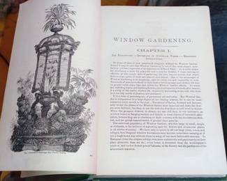 Beautiful illustrations window gardening Victorian Garden book