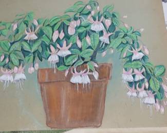 Tommy was growing fuchsia's in his own Greenhouse at 10 years old