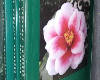 American Camellia handbook