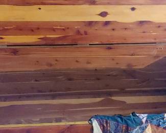 Beautiful Cedar trunk