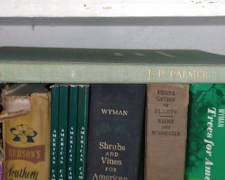 Vintage book linen cover titled Jade