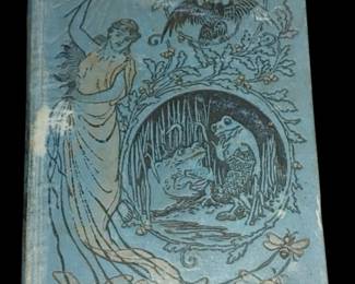 Victorian Rare Icelandic Fairy Tales Illustrated AW Hall 1894 (no date in book)