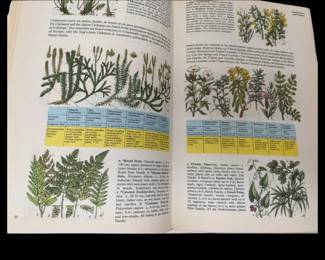 Natural.History of Europe in color