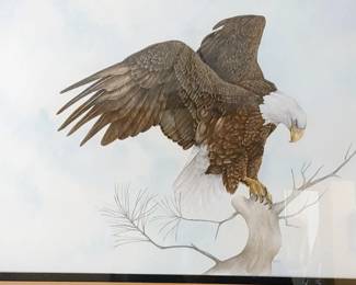 Original painting of Eagle by artist Candy Vermeer for Tommy. Candy specializes in miniatures- so it was unusual for her to do a large painting . The name of Tommy's Nursery was Eagles Nest.  He will also see several Miniatures of birds done by artist candy Vermeer