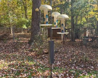 Bird Feeders