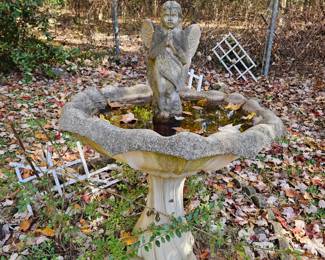 Bird Bath