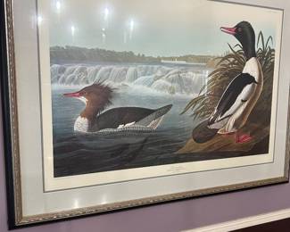 Beautiful signed and numbered print 
Double matted and framed 