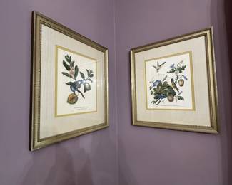 Framed matching pair of prints 