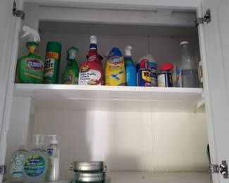 Cleaning supplies