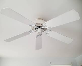 Ceiling fan