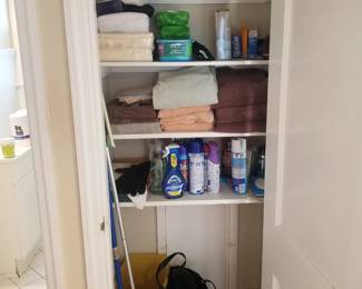 Towels and household cleaning supplies