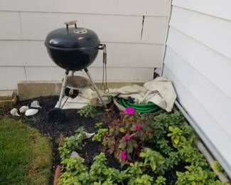 BBQ; plants