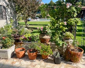 Terra Cotta & Concrete Planters
