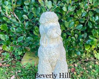 Beverly Hills Poodle