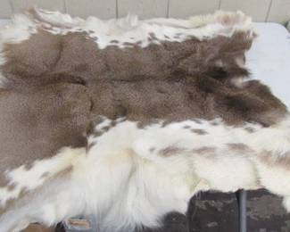 Piebald Deer Hide