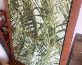 Large photograph NW Artist