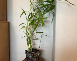 65 3TallBambooPlantOnCarvedWoodStand