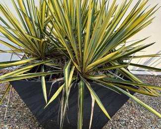 Three metal outdoor planters