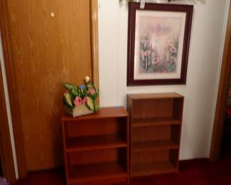 Bookshelves. Pictures.