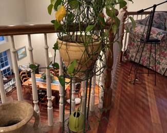 Plant Stand 