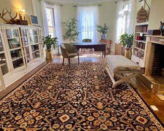 LIBRARY WITH BEAUTIFUL RUG