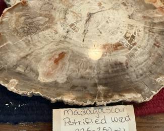 Madagascar Petrified Wood