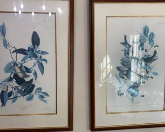 J.J. Audubon Prints Yellow Red Poll Warbler Blackpoll Warbler