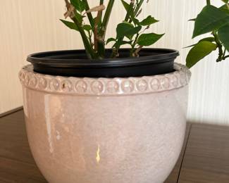 241Nov 04 2025 06 18pmWzTi