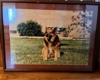 229Nov 04 2025 06 02pmPPWt