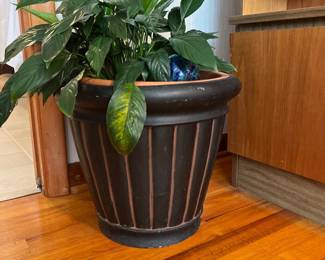 376Nov 04 2025 07 23pmoyEi