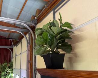 Great medium sized artificial plant