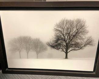 Winter snowy trees … large-scale  art