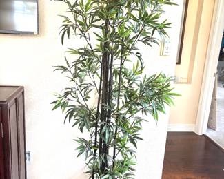 Silk bamboo tree