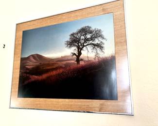 Pair of African scenes