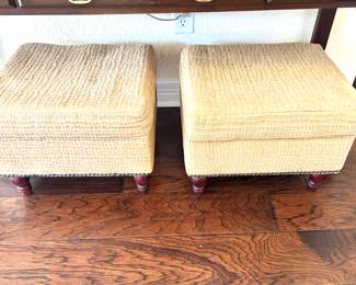 Pair storage stools