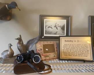 Beautiful duck and geese pictures