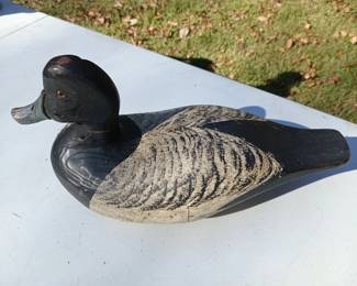Duck Decoy