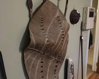 Items from trip. Zulu African shield.