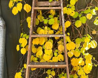 Nice wood ladder
