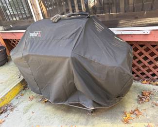 High end Weber Genesis grille