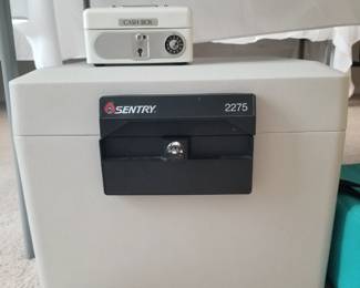 Sentry home documents safe. 