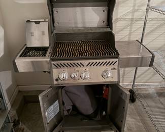 Napoleon Outdoor Gas Grill - Open