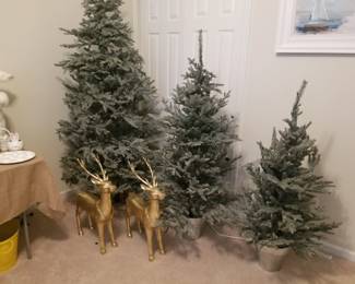 Twinkling Christmas tree. 