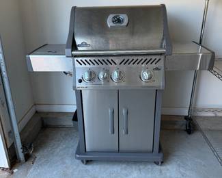 Napoleon Outdoor Gas Grill